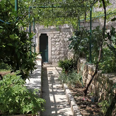 Triple Mali 8997d Pensjonat 3*