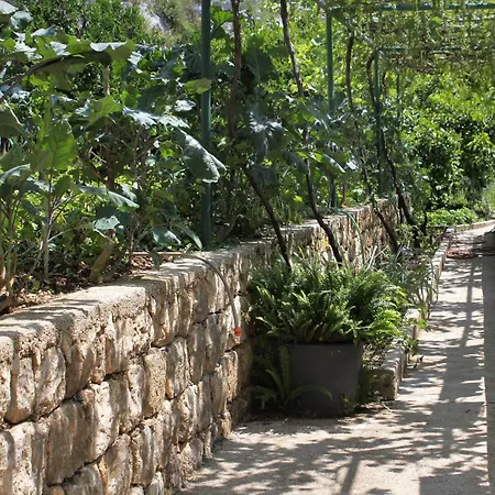 Triple Mali 8997d 3* Zaton (Dubrovnik-Neretva)