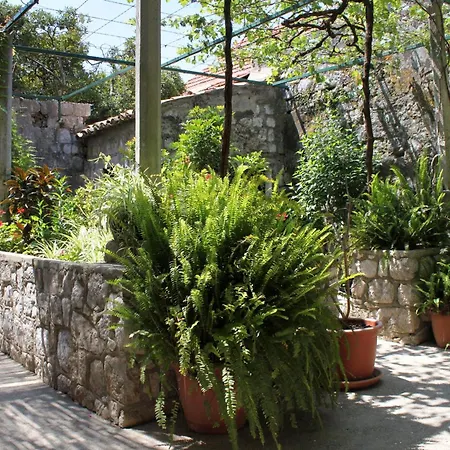 Triple Mali 8997d 3*